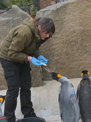 国产福利538prom我们不生产