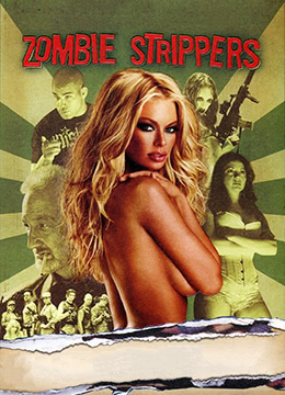 成全在线观看免费高清电视剧