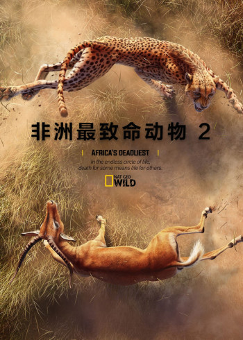 非洲致命动物 2